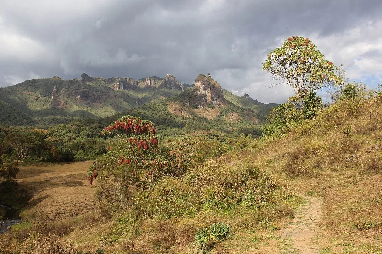 Forested slopes and mountain peaks in the Harenna area of Bale
