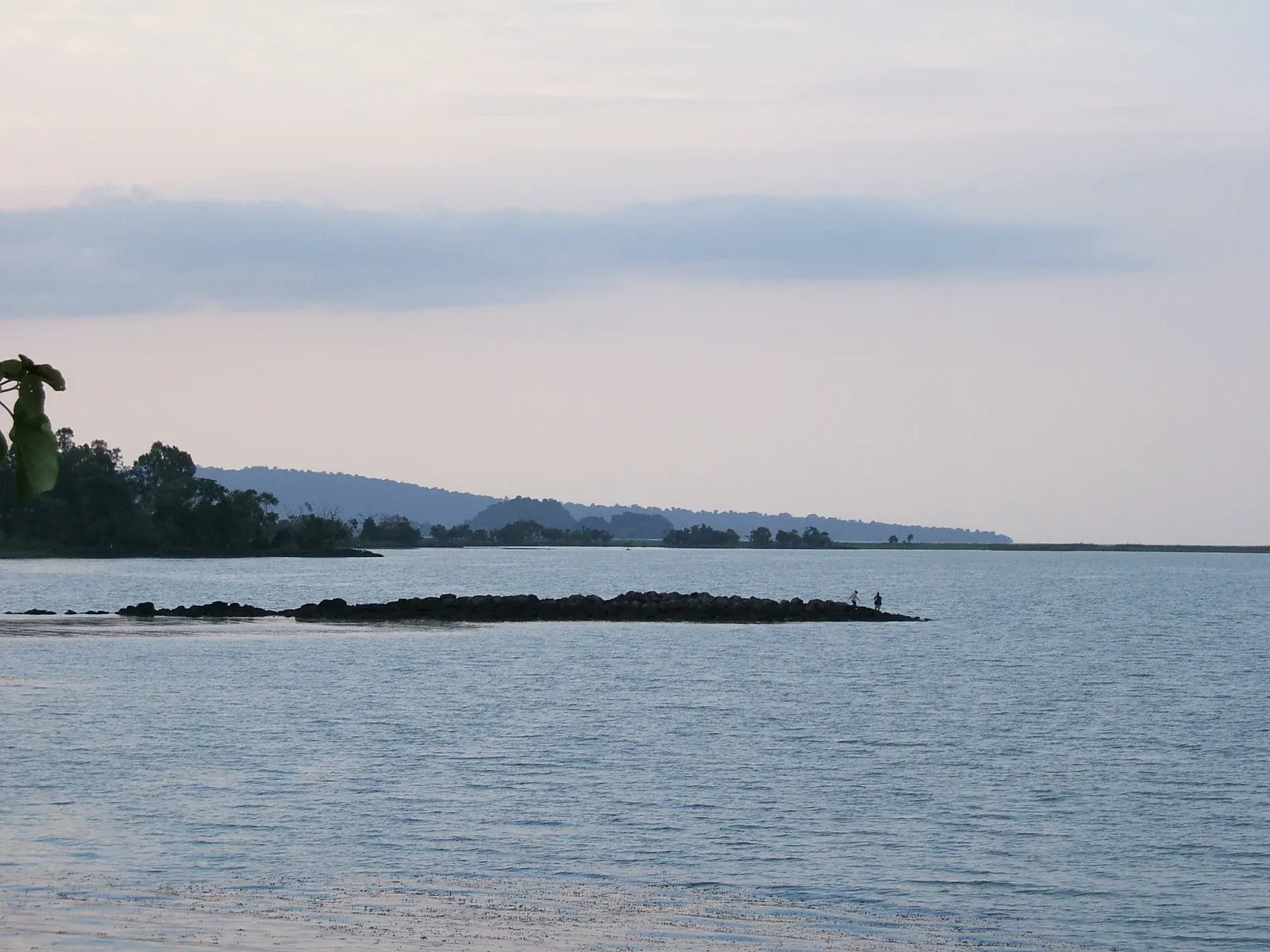 Calm water and wooded shores at Lake Tana in Ethiopia