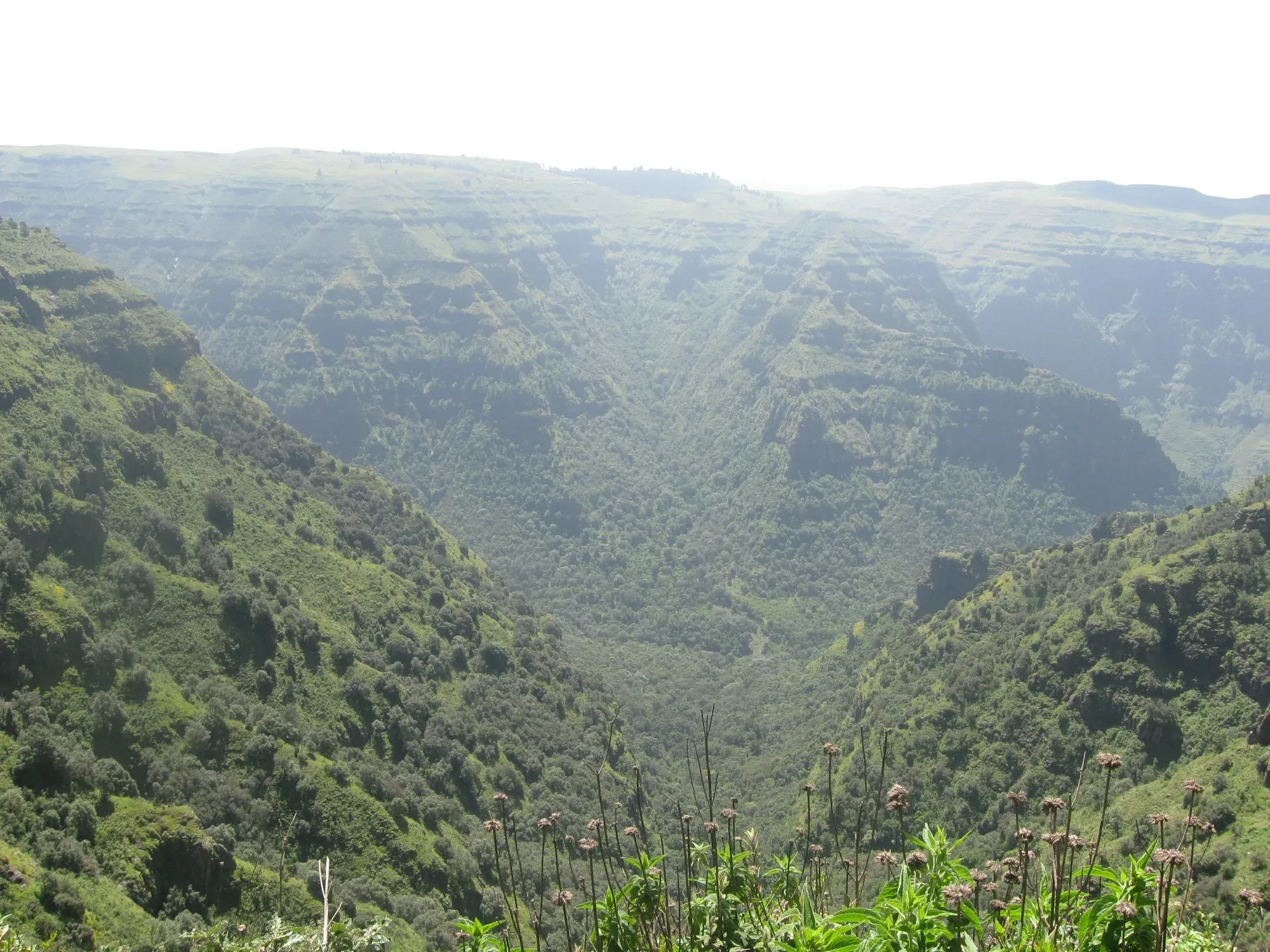 Sunlight across the green escarpments of Ethiopia’s Simien Mountains